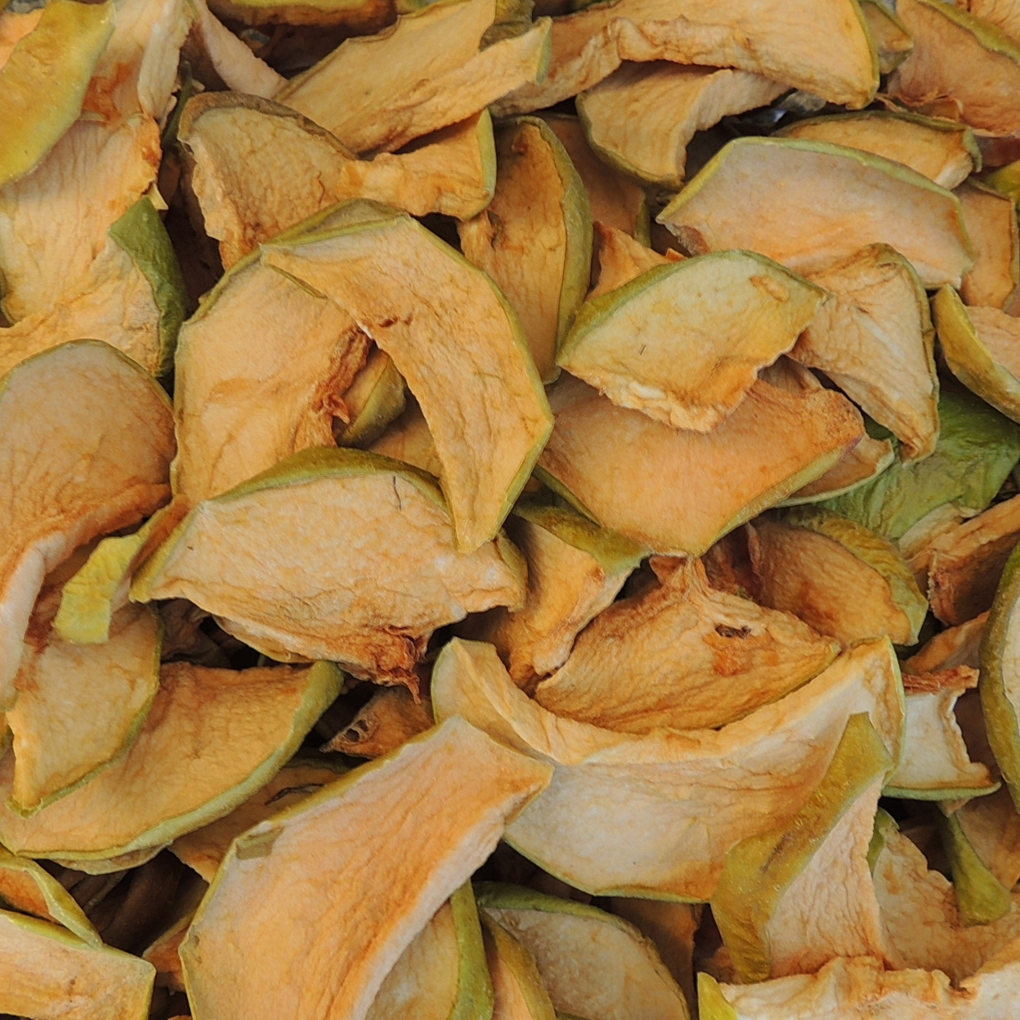 abuela visual data 4